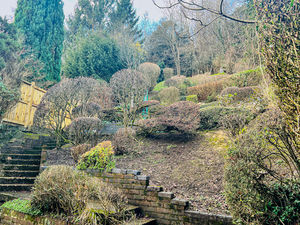 REAR GARDEN- click for photo gallery